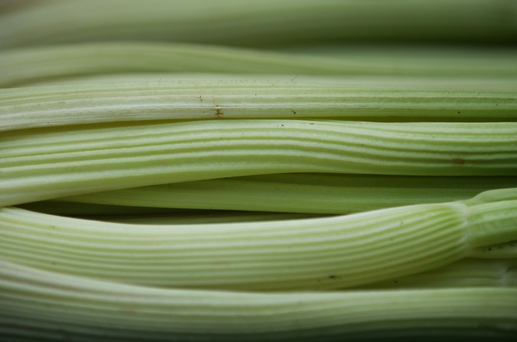 The Finest Fruit and Vegetables On Display At The RHS Harvest Festival Show