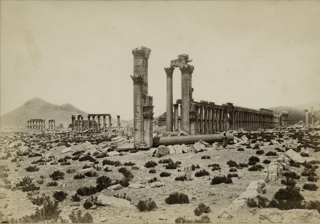 Palmyra