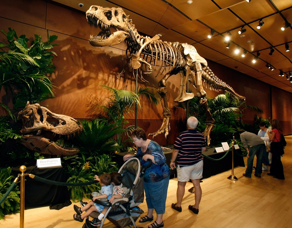 Tyrannosaurus Rex Skeleton To Be Auctioned Off In Las Vegas