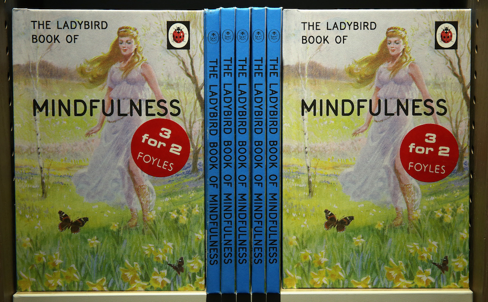 Ladybird Books For Grown-Ups