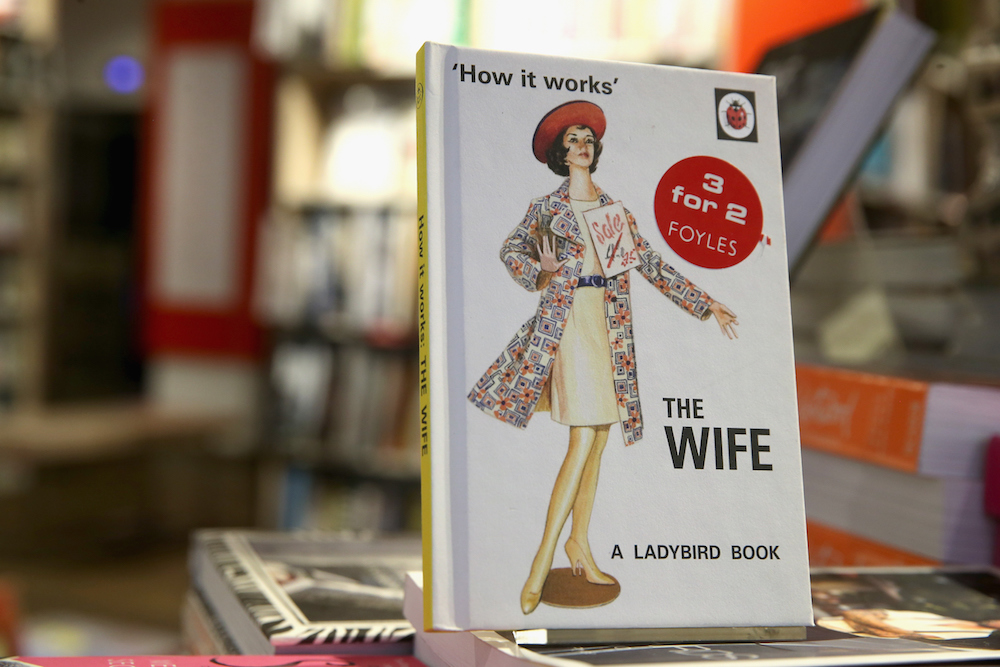 Ladybird Books For Grown-Ups