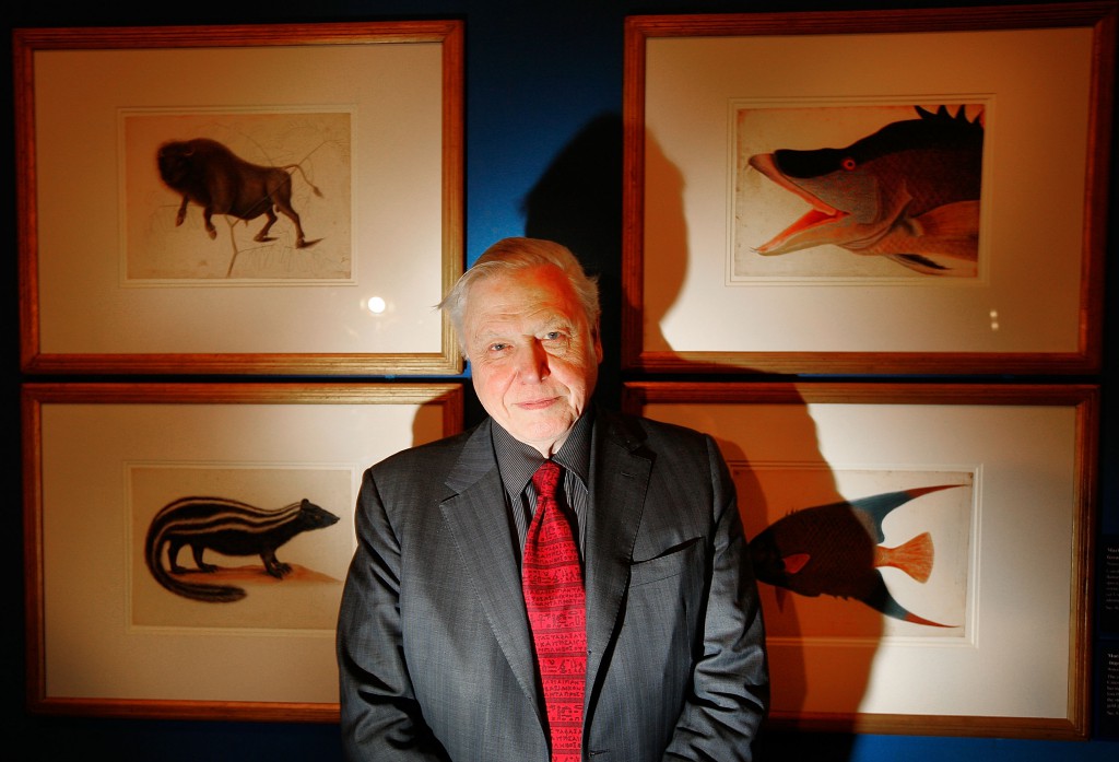 Sir David Attenborough At Preview Of Amazing Rare Things Exhibition