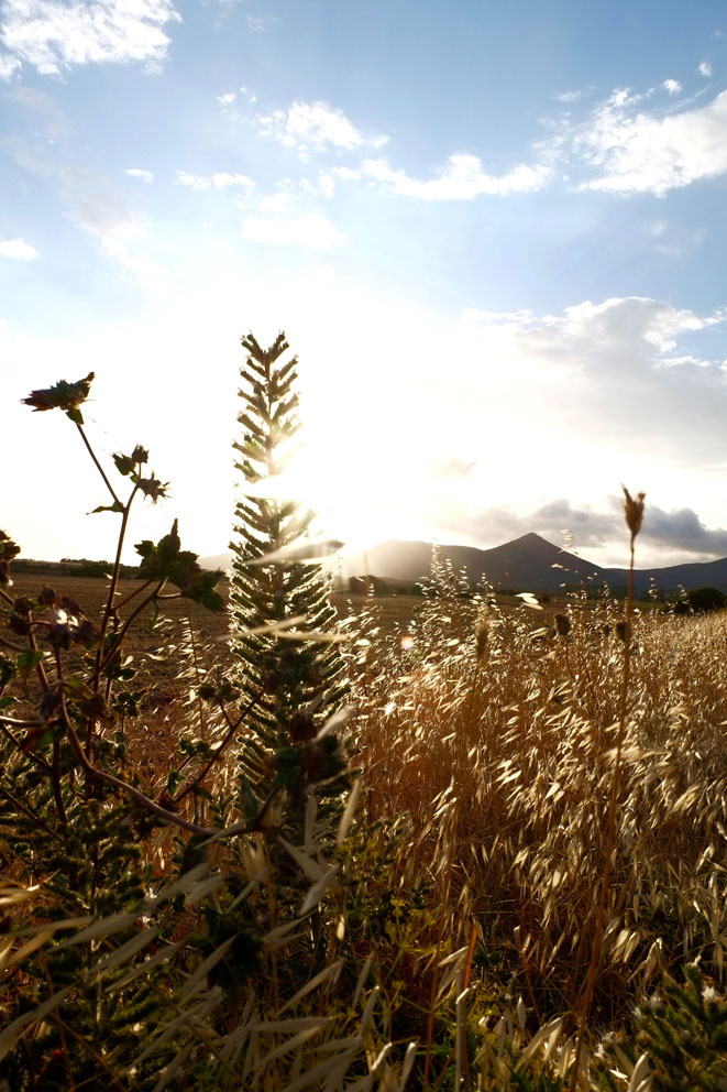 Sardinia, postcard #2