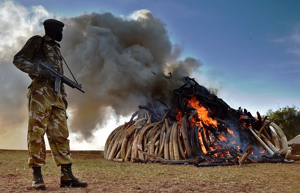 KENYA-WILDLIFE-CONSERVATION-IVORY-BURN