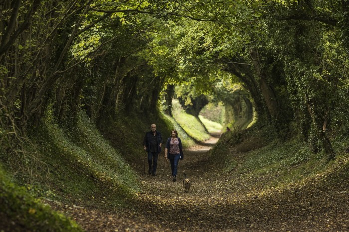 Autumn Sun Shines In The South Of England As Storm Ophelia Sweeps The West Coast